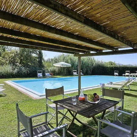 Clara 12 By Salogi *