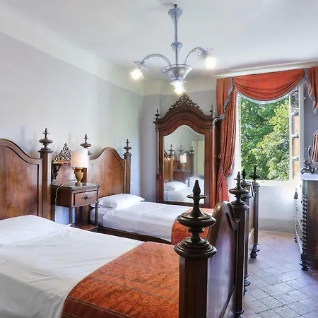 Clara 12 By Salogi Lucca