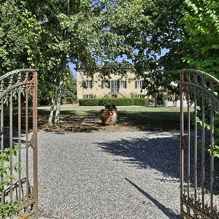 Clara 12 By Salogi Lucca