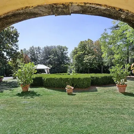 Clara 12 By Salogi * Lucca